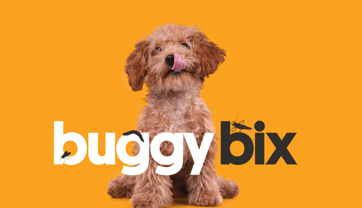 Dog with Buggy bix logo