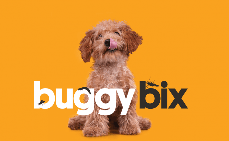 Dog with Buggy bix logo