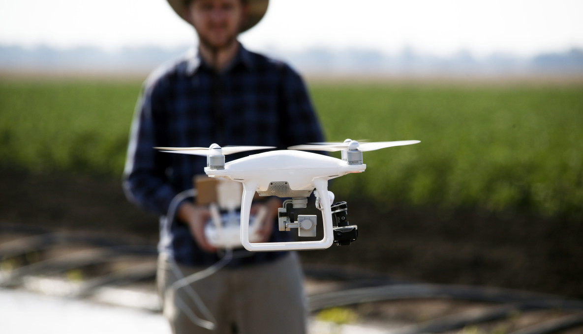 Farmer operating drone in paddock