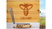 Logo for CRC for Honey Bee Products Ltd