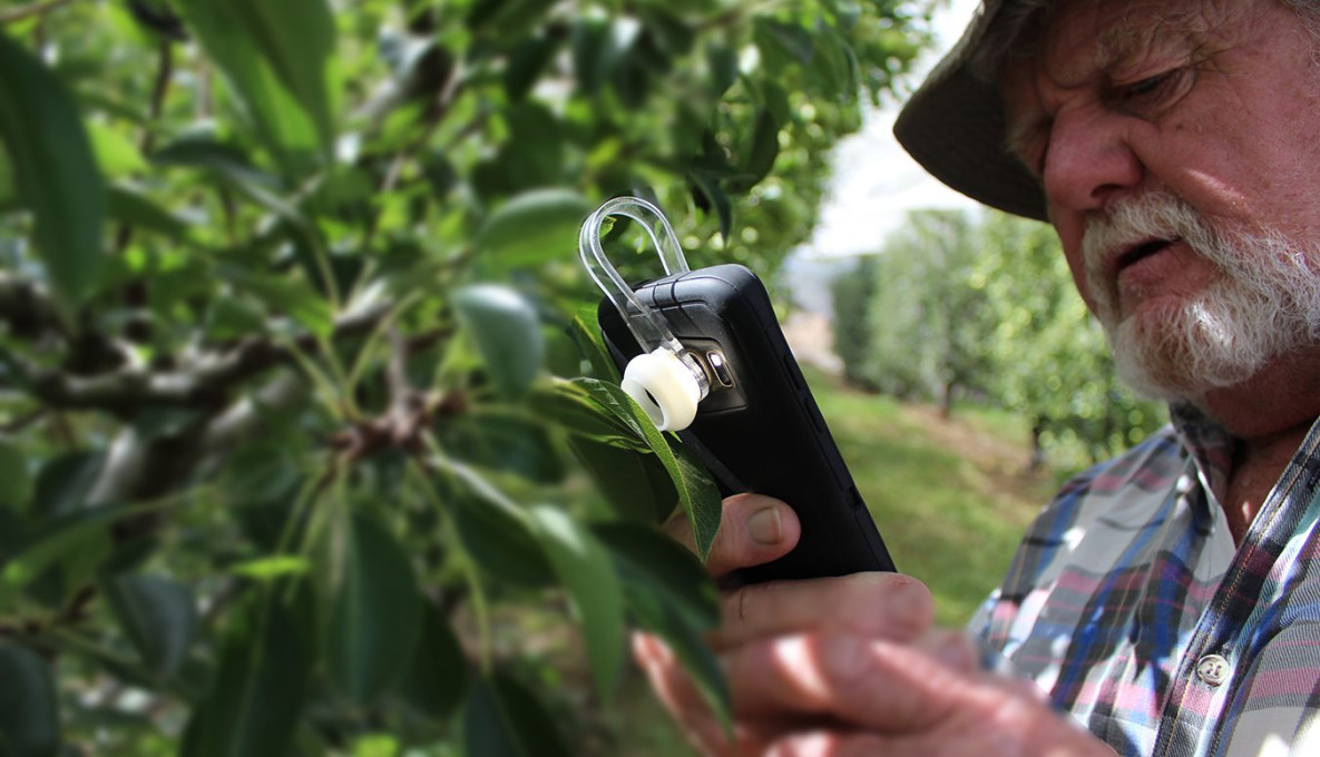 Farmer holding a phone with the GoMicro Examine Phone Microscope