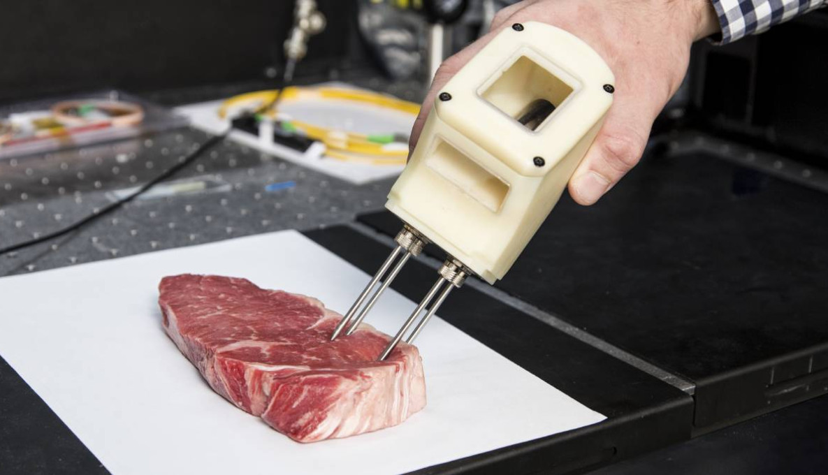 MEQ Probe poking into a piece of red meat