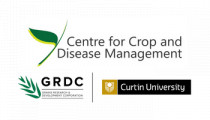 Logo for Centre for Crop and Disease Management