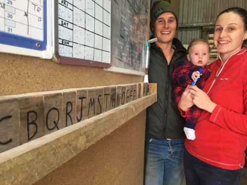 Image for Dairy Australia introduces program to help farmers achieve long-term goals