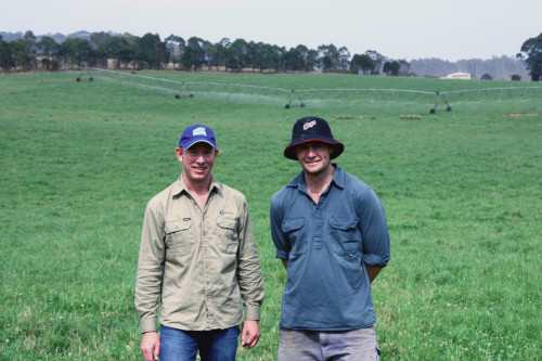 Image for Technology the key to increasing yields for Bega, NSW farmer