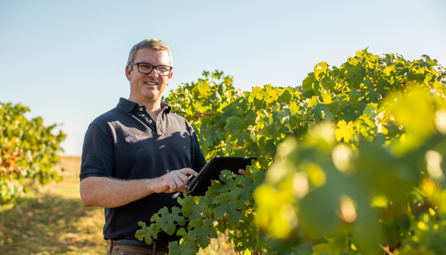 Adrian Englefield standing in a vineyard smiling at the camera with an ipad in hand