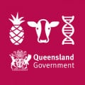 Logo for Queensland Department of Agriculture and Fisheries (QDAF)