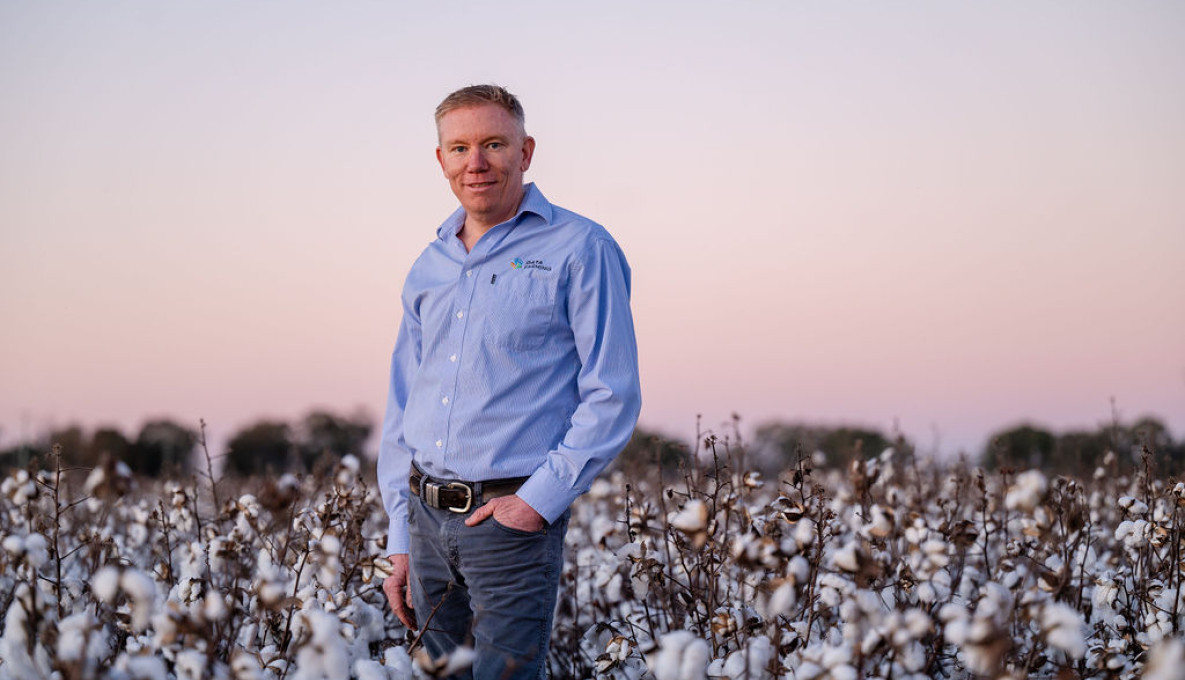 DataFarming Co-founder Tim Neale in cotton crop