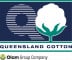 Logo for Queensland Cotton