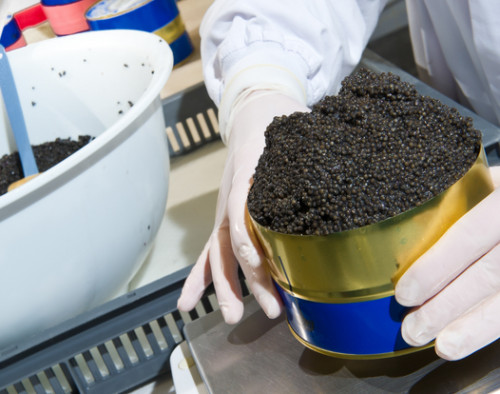 Image for Eco caviar: World’s first sustainable ‘nature identical’ sustainable caviar manufactured from Australian egg – pre-seed investment opportunity