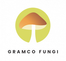 Logo for The Great Australian Mushroom Company