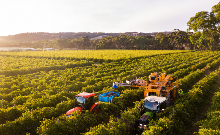 Two tractors and farmers in a grape vinyard using Harvest optimisation technology by Aussie Wine Group