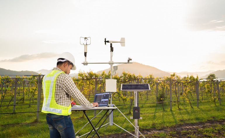 Researcher with laptop and equipment in a grape vineyard