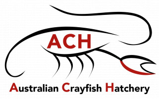 Logo for Australian Crayfish Hatchery