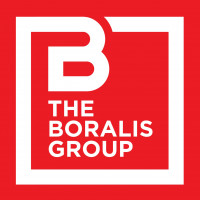 Logo for The Boralis Group
