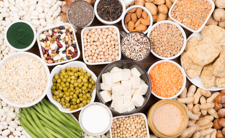 Variety of alternate plant protein legumes, tofu, nuts, oats & seeds