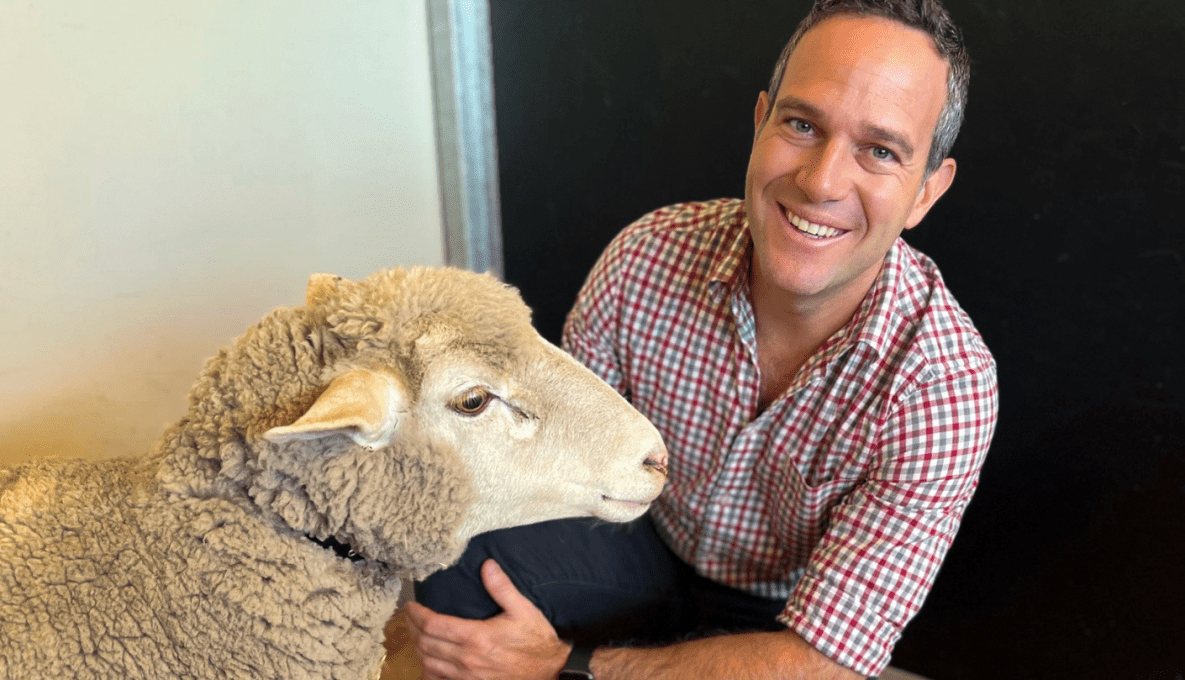 Veterinarian Dr Garnett Hall founded VetChip with a Sheep