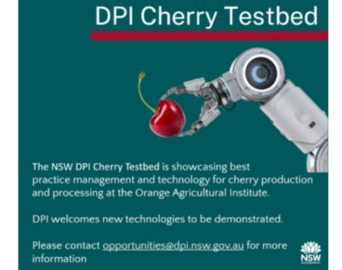 Image for New South Wales Department of Primary Industries (NSW DPI): Cherry testbed for agritech at Orange