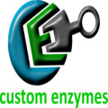 Logo for Custom Enzymes