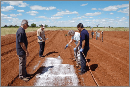 Image for Innovative plastic mulch alternative set to increase crop water productivity by 30%