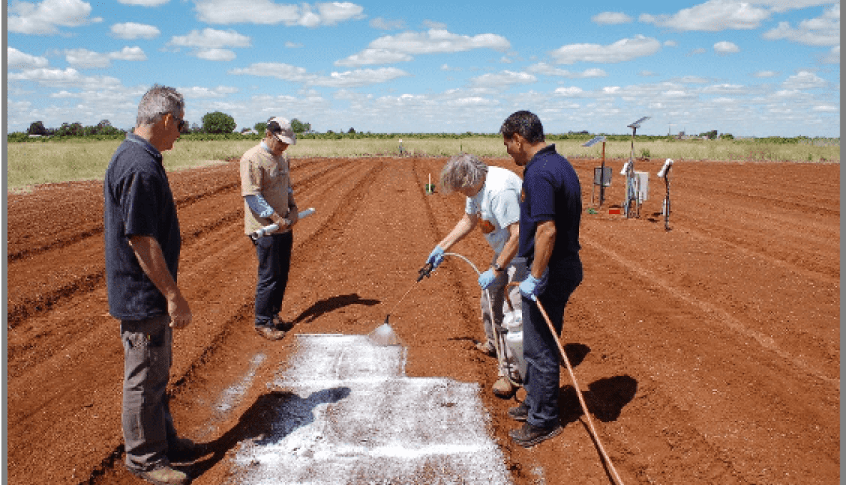 Farmer demonstrating spray on polymer membrane on crop