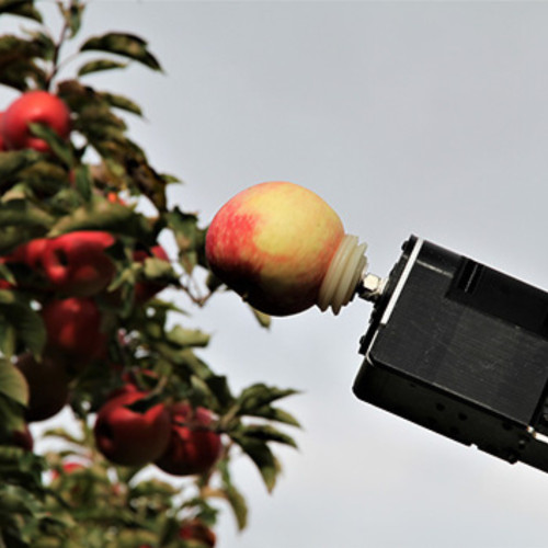Image for Young Farmer of the Year backing fruit-picking robot