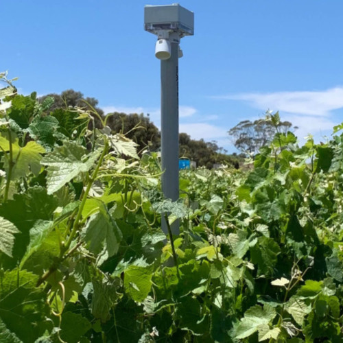 Image for Infrared monitoring improves irrigation efficiency Global irrigation optimisation solution ready for investment  Smart irrigation tech to solve A$5 billion water challenge