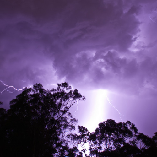 Image for Lightning strikes with cultural-inspired innovation to encourage plant growth