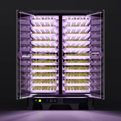 Image for Series A $12m to help vertical farm prodigy, InvertiGro scale new heights