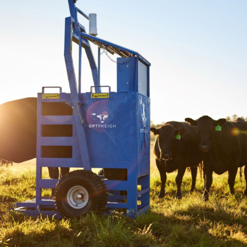 Image for Suppliers wanted to drive agtech adoption on NSW farms