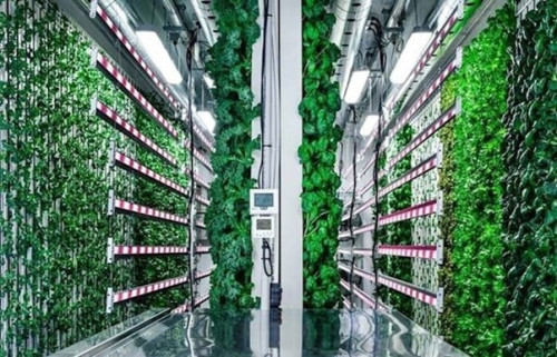 Image for Bringing high tech horticulture to urban areas in Australia – rooftop, underground and floating farms