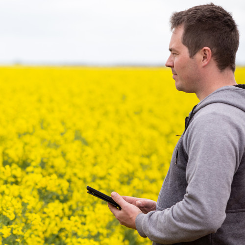 Image for Mobile platform giving farmers instant answers
