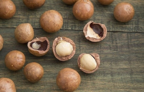 Image for Tree genomics program sequences 300 macadamia varieties to improve productivity and profitability for growers