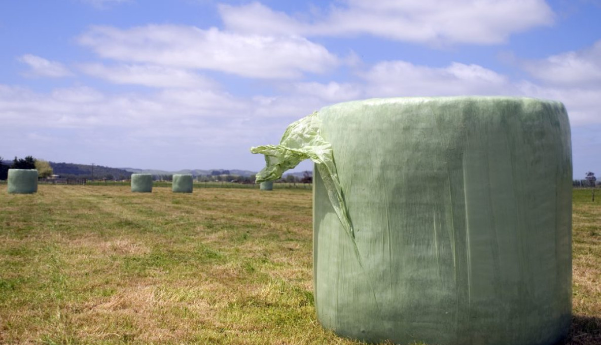 Hay bales wrapped in plastic in a paddock