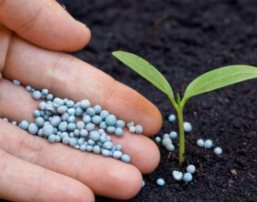 Image for Nitronic: Novel sustainable fertiliser technology – Pre-seed raise