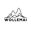 Logo for WollemAI