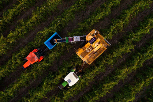 Image for Harvest optimisation technology, a smart move for Australia’s viticulture industry