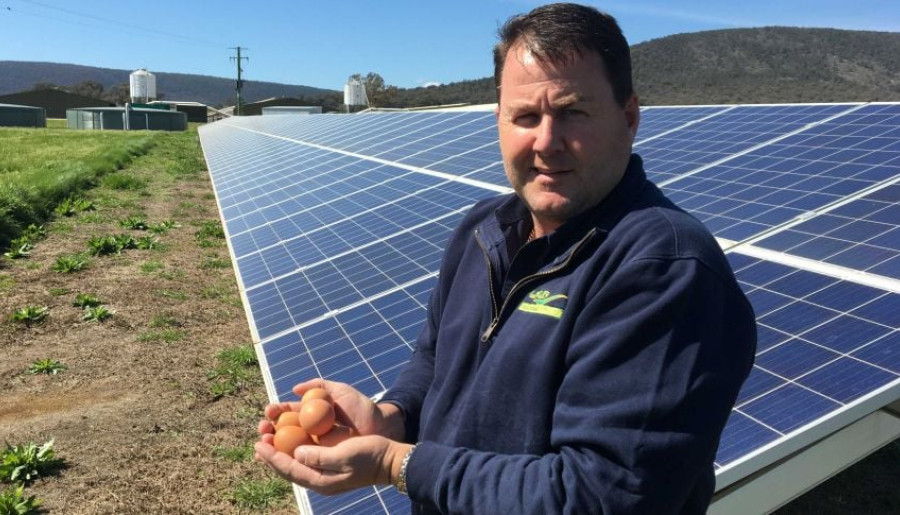 Brett Langfield estimates the solar panels at his property at Young have cut 30 per cent off his electricity bill.(ABC Rural: Tim Fookes)
