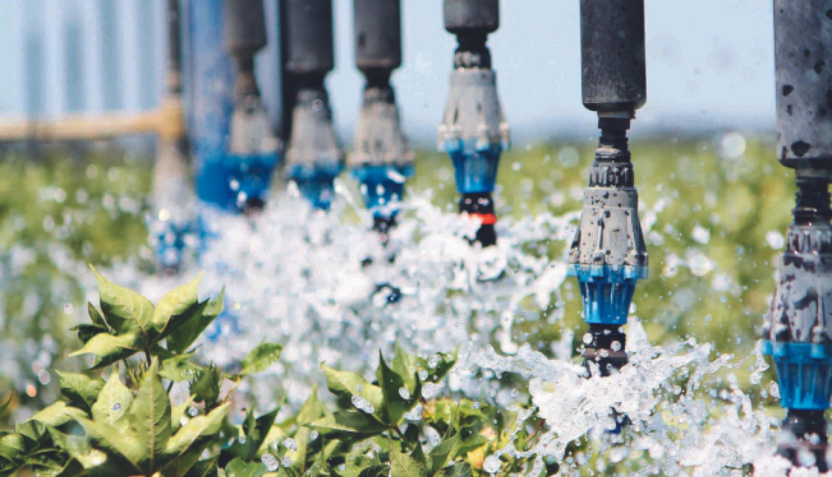 Irrigation system spouts spraying water on cotton crops